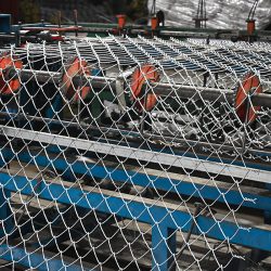 Chain Link Fence