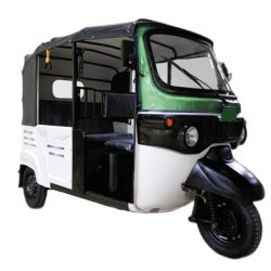 Electric 3-Wheeler