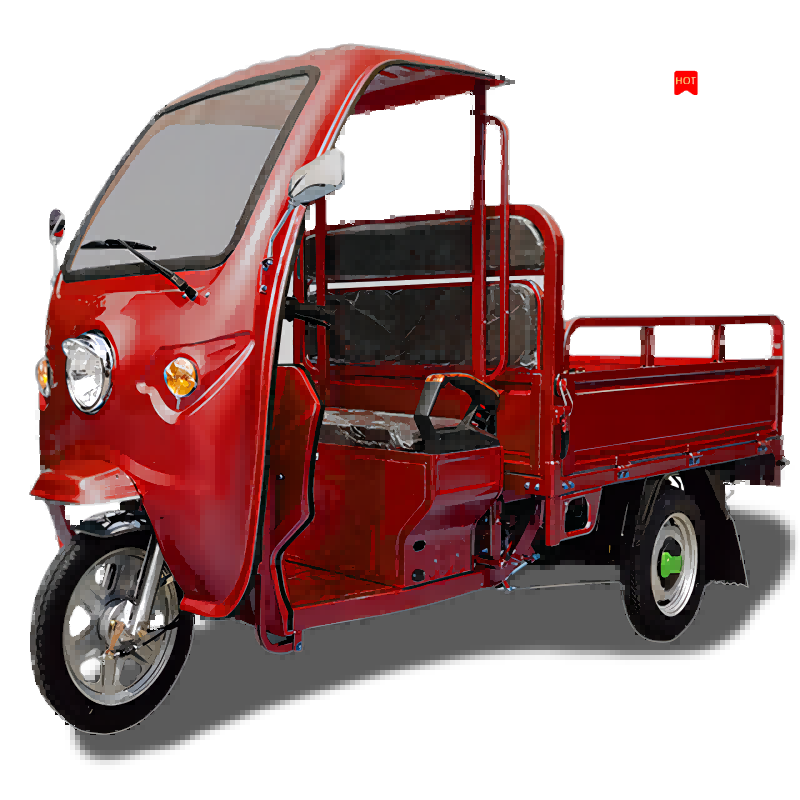 Electric Trikes 1200W Multi load Three-Wheel Bicycle