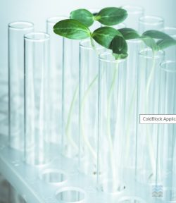 Innovative Sample Digestion for the Food And Agriculture Sector