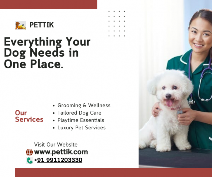 Everything your dog needs in one place