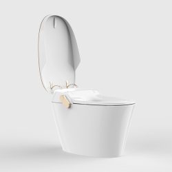 Functional Smart Toilets: Hygiene Redefined with Advanced Cleansing Features