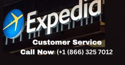 Expedia Support Services By Phone: Email, and Chat Explained An Ultimate Guide