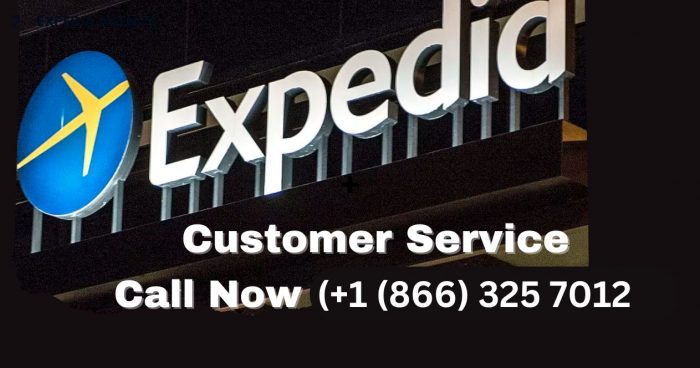 Expedia Support Services By Phone: Email, and Chat Explained An Ultimate Guide