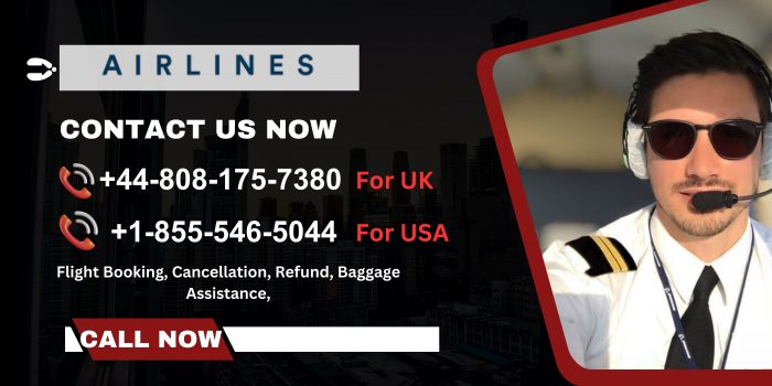 10 Ways to Reach JetBlue Support by Call, Chat, and Email: A Complete Assistance Guide