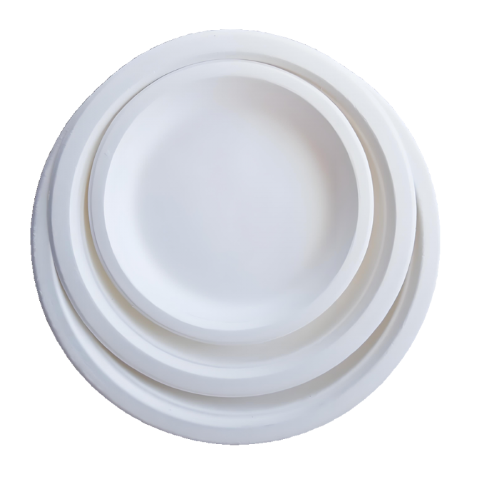 Bioleader® Eco-friendly Biodegradable Sugarcane Bagasse Plates