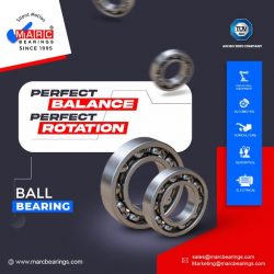 Ball Bearings in India