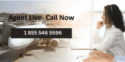 Ways to Contact Jetblue Customer Care via Phone Number, Email, or Live Chat – A Complete Assista ...
