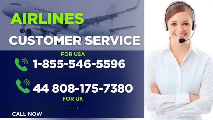 10 Ways to Contact Hawaiian Customer Service via Phone Number, Email, or Live Chat – Find the Of ...
