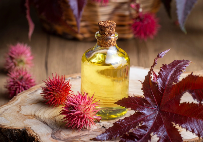 The Power of Castor Oil: Natural Goodness from Grape Tree