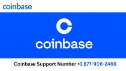 Step-by-Step Guide: Trust Wallet Support Number Talking to a Live Person via Phone