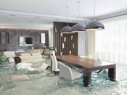 Effective Techniques for Water Cleanup After a Natural Disaster