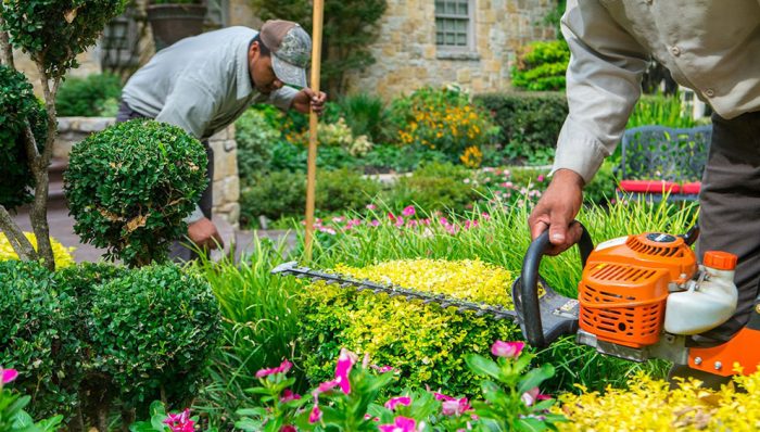 Commercial Landscaping Tampa