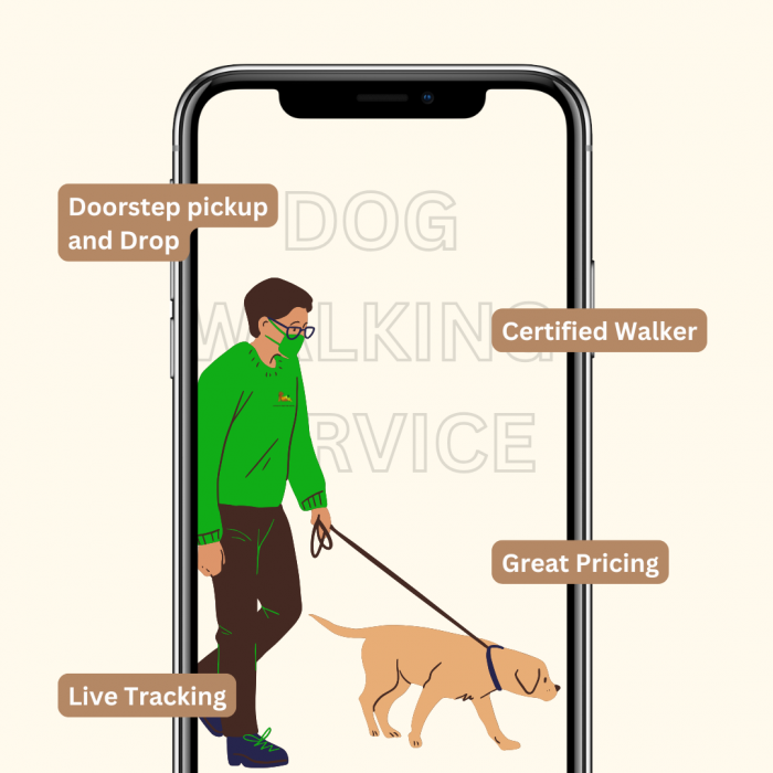 Benefits of dog walking with pettik