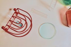 Electrophoretic Mobility Shift Assay (EMSA) Service