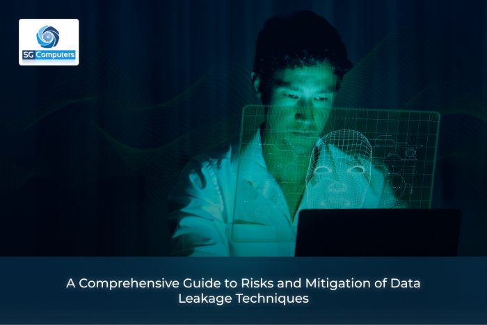 Risks and Mitigation of Data Leakage Explained