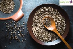 Hemp Seeds: A Superfood for Nutrition, Health, and Wellness – Grape Tree