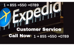 How to Call Expedia Customer Service via Phone, Email, or An Ultimate Guide