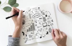Best Bali Organic SEO Services for Sustainable Business Growth