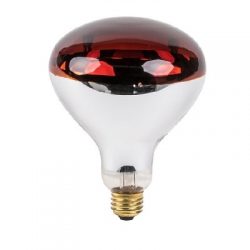 Infrared Lamp