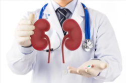 Affordable Kidney Transplant Cost in India | Hospidio