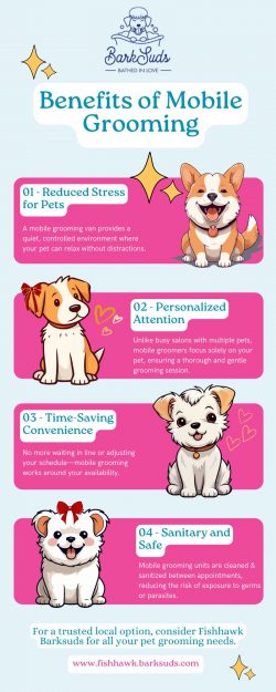 Mobile Pet Grooming in Fishhawk