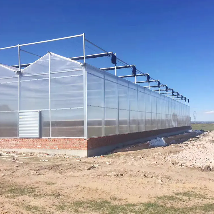 A greenhouse can be a game-changer for gardening