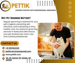 Dog Grooming Service Delhi