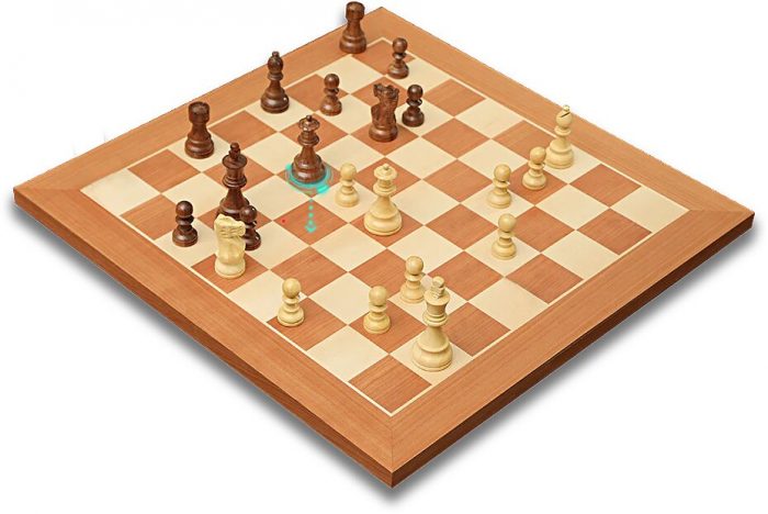 Explore Premium Chess Boards at Chessnutech