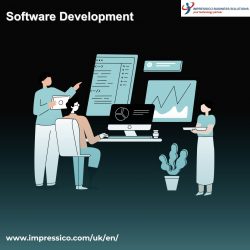 Software Development Company