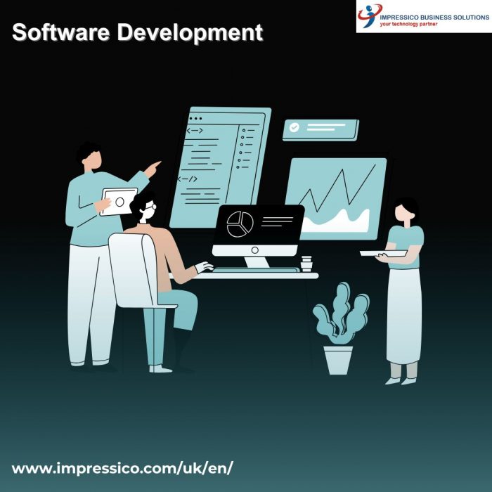 Software Development Company