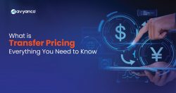 What is Transfer Pricing?