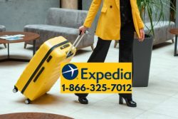 Ways to Call Expedia Customer Service by Phone, Chat, and An Ultimate Guide