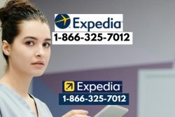 How to Contact Expedia and talk to a person; A Step by step An Ultimate Guide