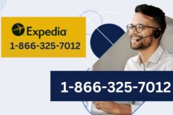 Ways to Communicate with Expedia Customer Service by Phone, Chat An Ultimate Guide