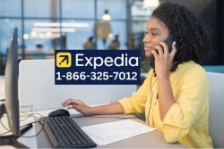 Ways to Connect Expedia Support by Phone, Chat, and Email: An Ultimate Guide
