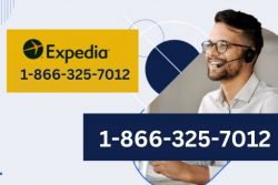 How to Contact Expedia Customer Service: A Detailed Guide for An Ultimate Guide