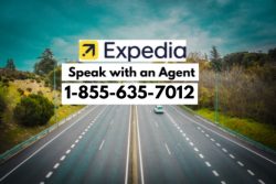 How to Reach Expedia Support by Phone, Email, or Chat: Full An Ultimate Guide