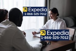 Ways to Connect Expedia Support by Phone, Chat, and Email: An Ultimate Guide