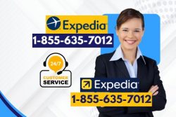 How to Contact Expedia customer service number Explained Complete Guide