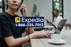 Ways to Call Expedia Customer Service by Phone, Chat An Ultimate Guide