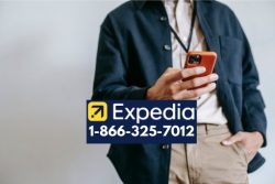 Ways to Call Expedia Customer Support by Phone, Chat An Ultimate Guide