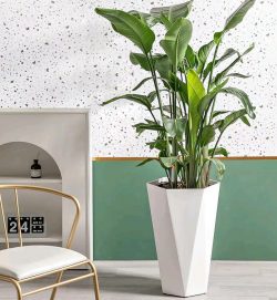 floor type not coated flower pot