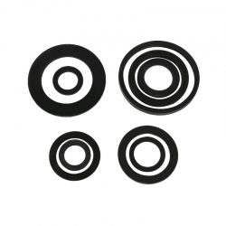 Classification of skeleton oil seal