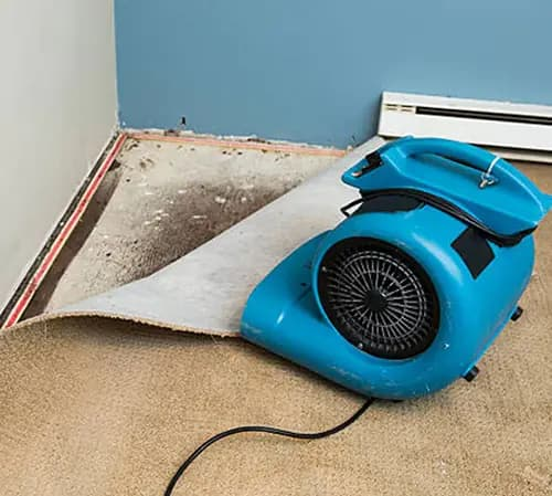 Common Causes of Flood Damage and How Restoration Services Can Help
