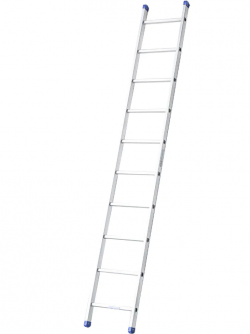 Professional Ladder Ensures are Widely Used