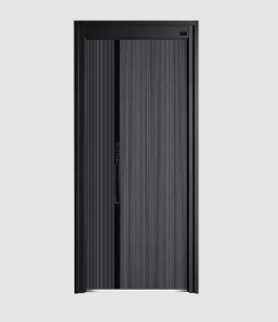 Variety of Aluminum Front Door