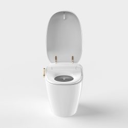 Functional Smart Toilet with Automatic Deodorization and LED Night Light for Enhanced Comfort