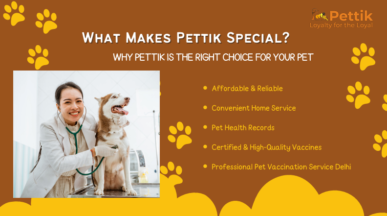 Affordable Pet Vaccination Near Delhi