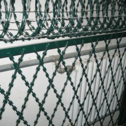 Razor Wire Fence